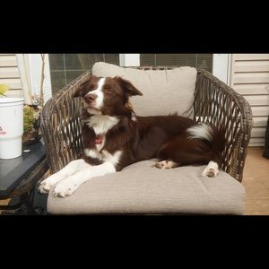 Meet your Posher, Olivia